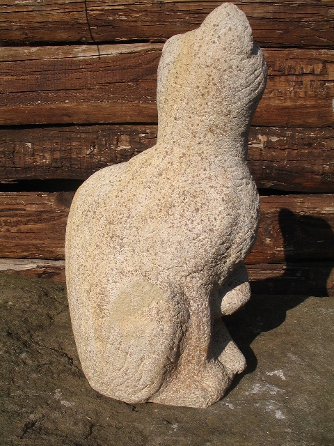 Katze,Humpel (4).JPG